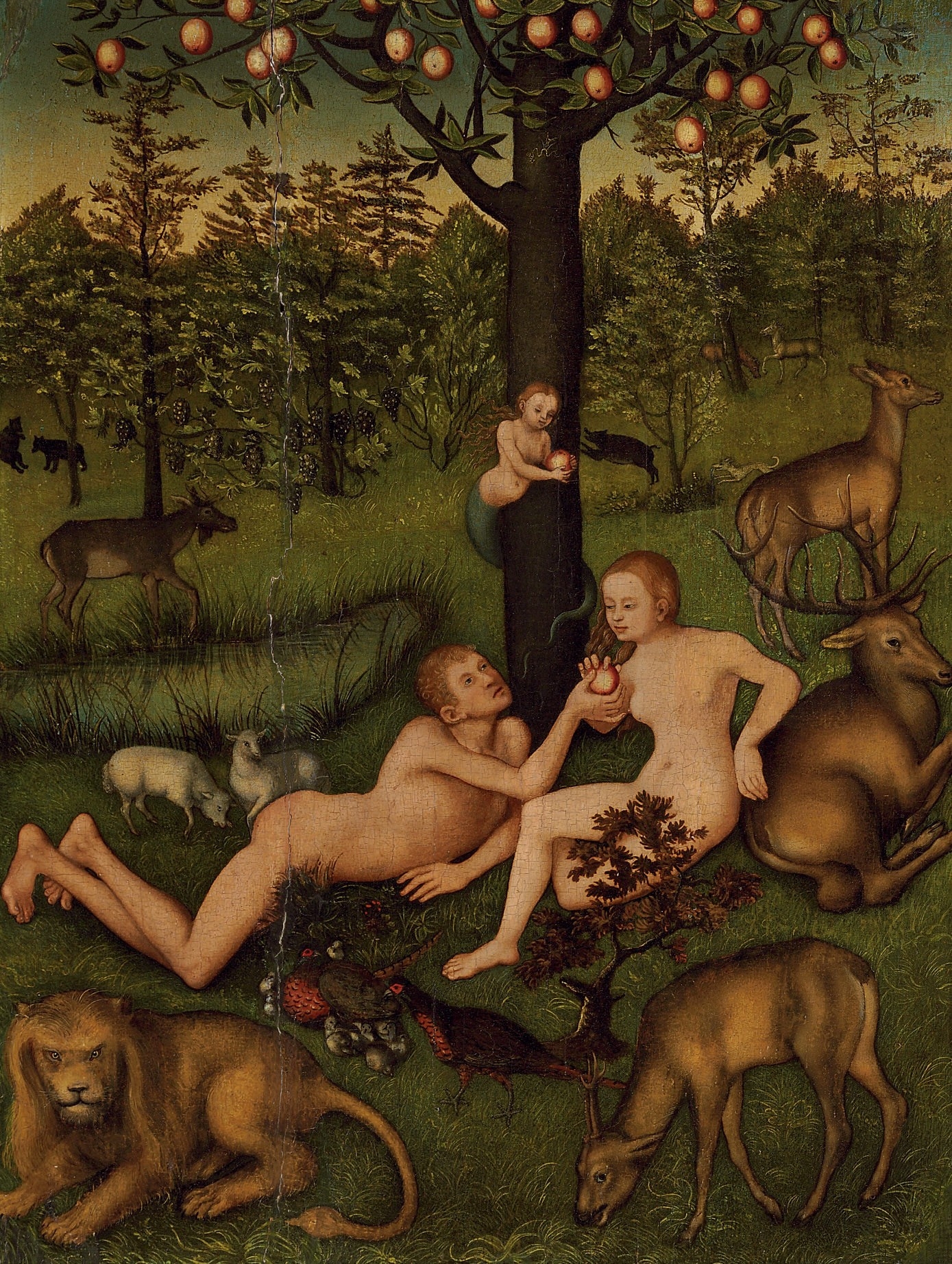 The Garden of Eden
